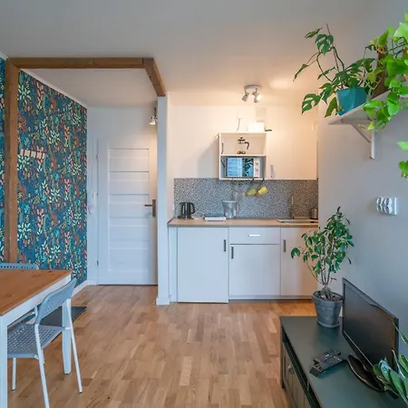 In The Center Of Wrocław