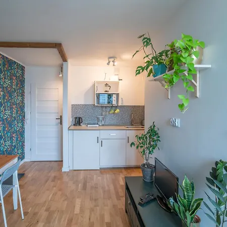 In The Center Of Appartement *